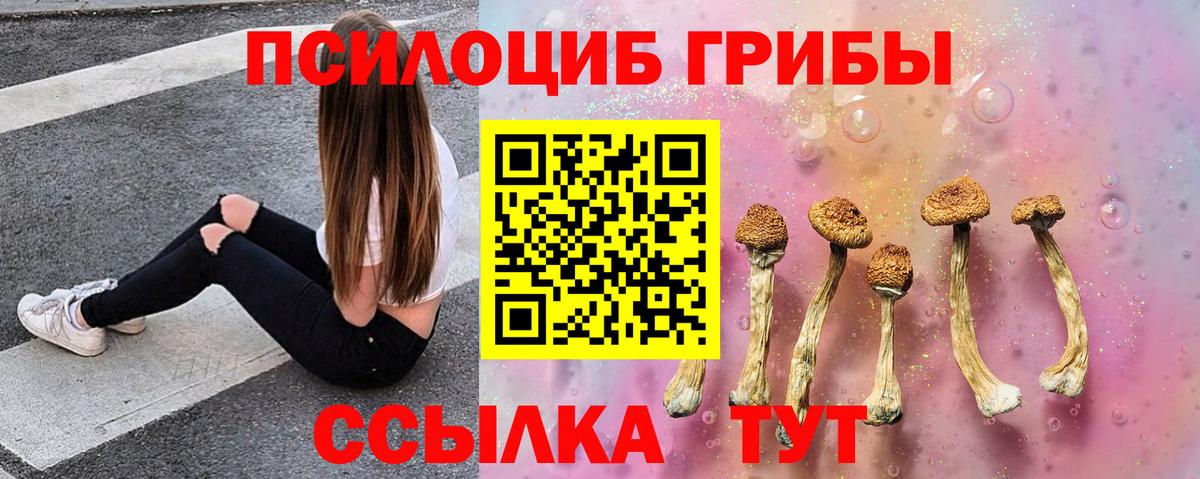 Нижний Тагил  Псилоцибиновые грибы Cubensis  Вход с VPN 