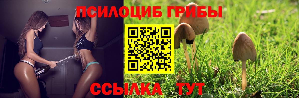 Галлюциногенные грибы Cubensis Нижний Тагил